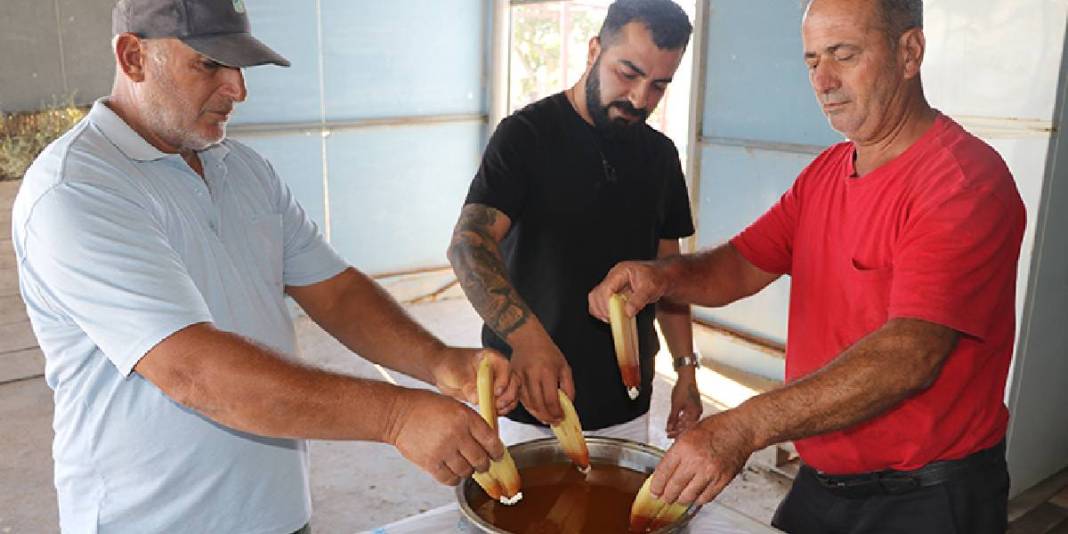 Çukurova’dan çıkıyor Türkiye’nin sofralarını süslüyor! Kilosu 5.000 TL’yi buluyor: Talep hiç bitmiyor 5